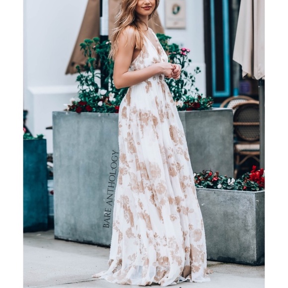 💜NWT Stunning Tulle/Beige Velvet Maxi - Picture 4 of 6